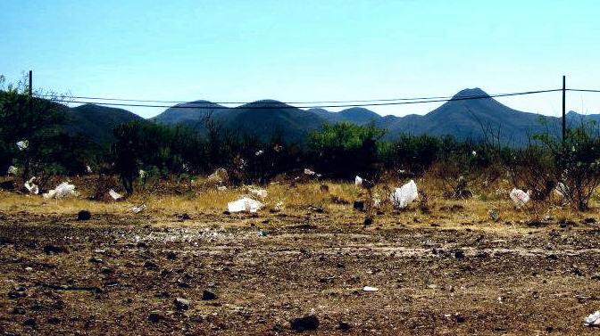 Stay out of plastic-bag law, Bisbee tells state attorney general